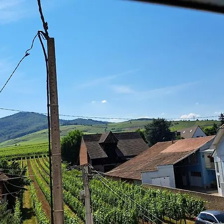 Au Coeur De L'alsace * Wettolsheim