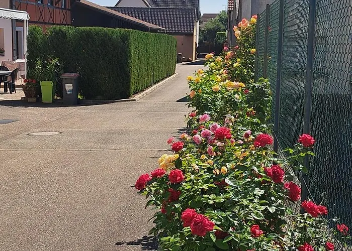 Au Coeur De L'alsace *