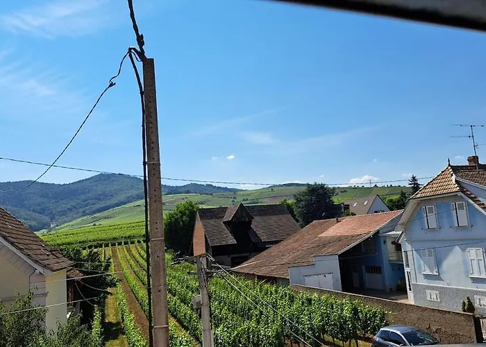 Au Coeur De L'alsace * Wettolsheim