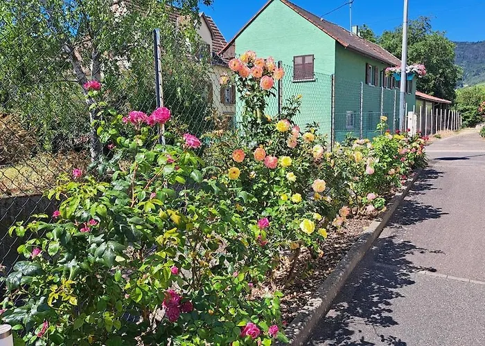 Appartement Au Coeur De L'alsace Wettolsheim