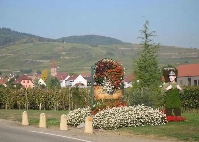 Appartement Au Coeur De L'alsace *