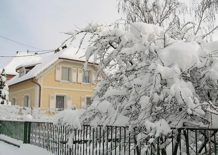 Au Coeur De L'alsace Appartement *