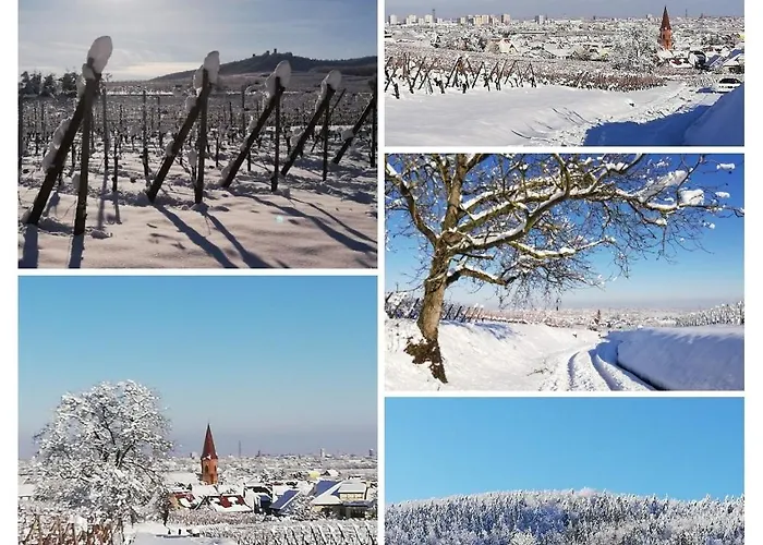 Au Coeur De L'alsace Appartement *